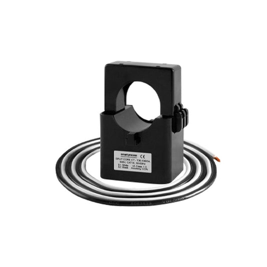 Landis Current Transformer 100A ( incl. fly lead )