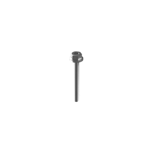 Esdec Mounting Screw M6 x 55 mm